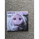 Blodwyn Pig - The Live Sessions - CD